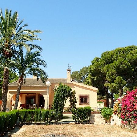 Villa Buganvilla Elche Exteriör bild