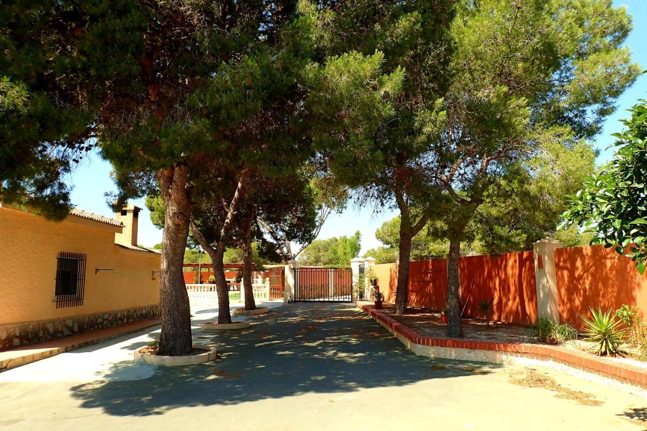 Villa Buganvilla Elche Exteriör bild
