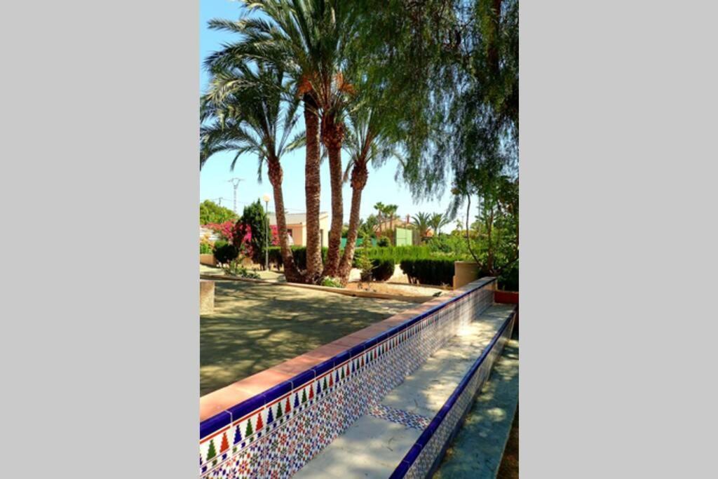 Villa Buganvilla Elche Exteriör bild