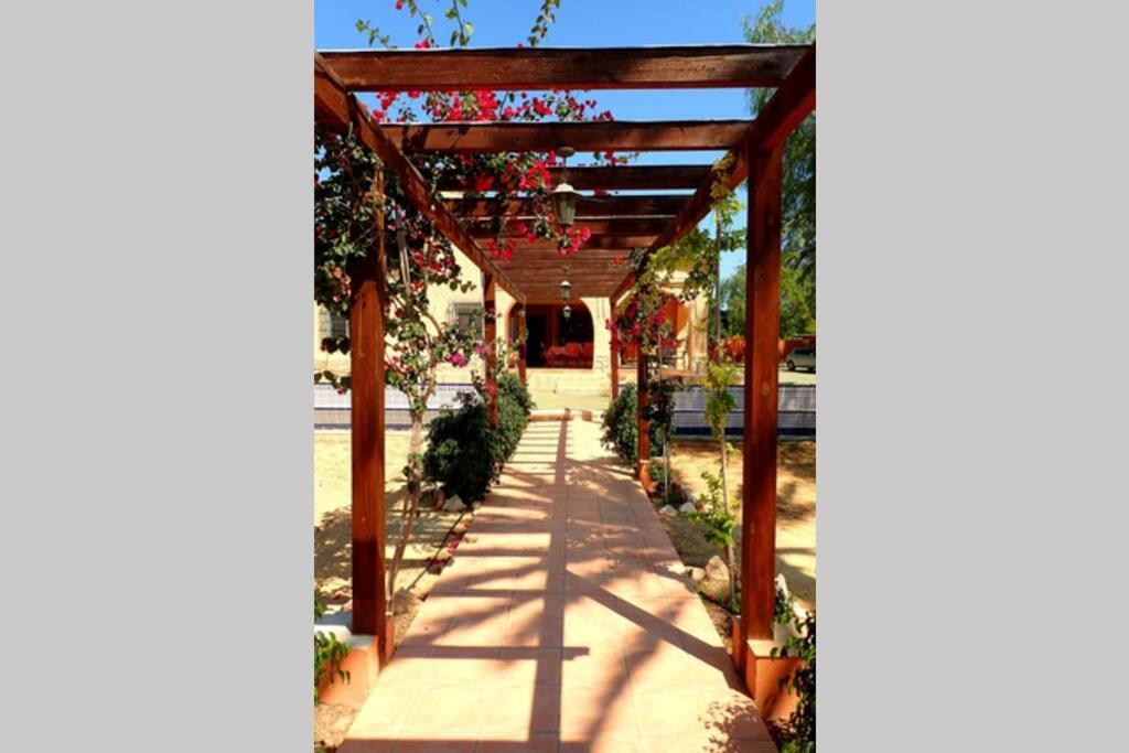 Villa Buganvilla Elche Exteriör bild
