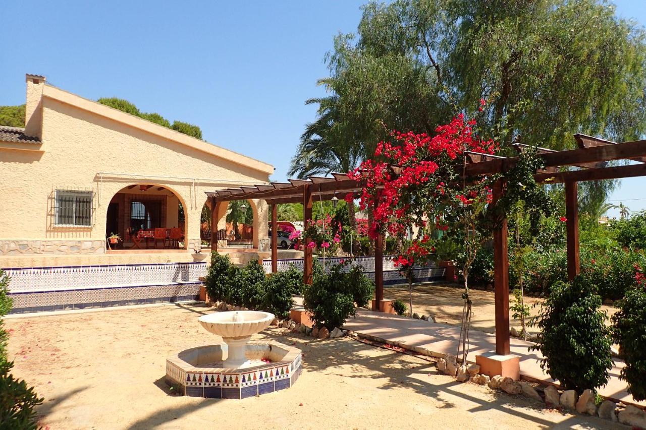 Villa Buganvilla Elche Exteriör bild